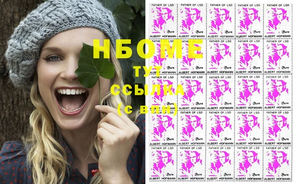 ПСИЛОЦИБИНОВЫЕ ГРИБЫ Арсеньев