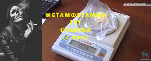 ПСИЛОЦИБИНОВЫЕ ГРИБЫ Арсеньев