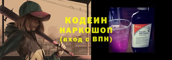 ПСИЛОЦИБИНОВЫЕ ГРИБЫ Арсеньев