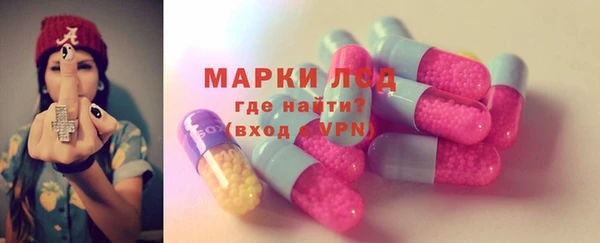 ПСИЛОЦИБИНОВЫЕ ГРИБЫ Арсеньев