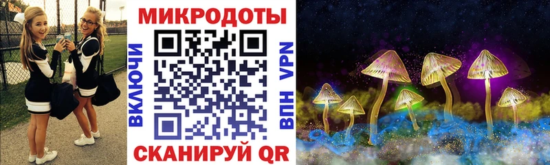 Псилоцибиновые грибы мухоморы  купить наркотик  Межгорье 
